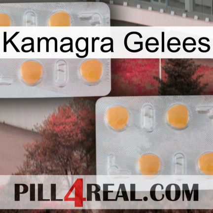 Kamagra Jellys 25